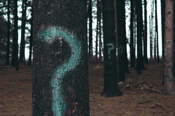 Frågetecken målade på tallstammar i skog