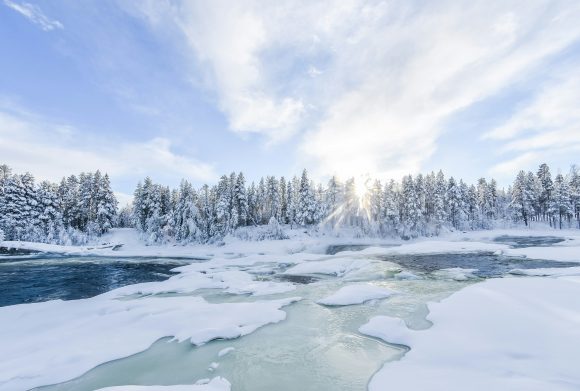 Medlemsträff i Umeå med Kompetensföretagen.